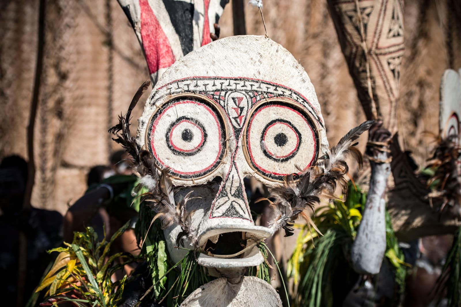 Pulau Roon, Cenderawasih Bay, Papua